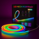 Led Neon stripe